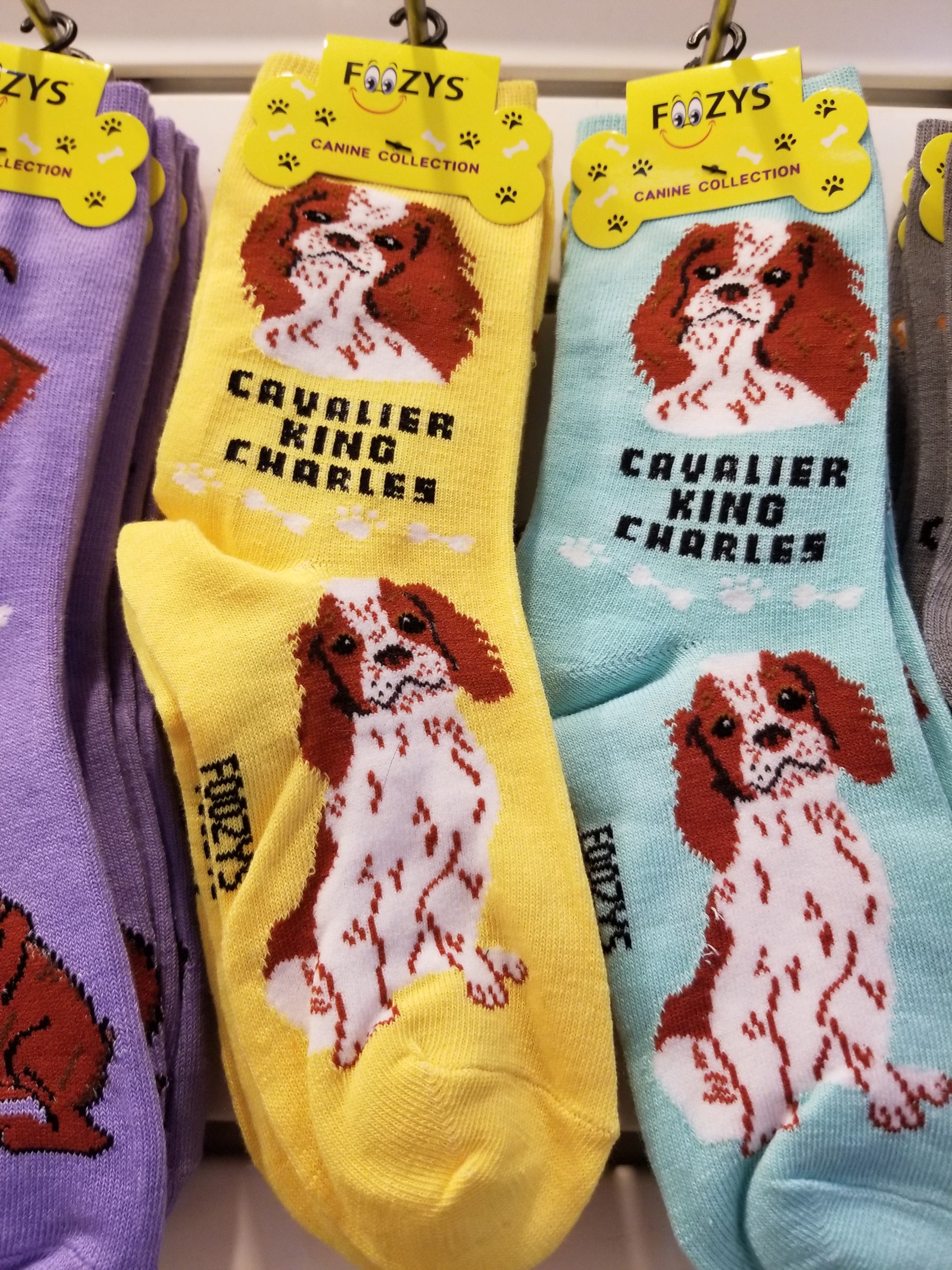 Cavalier dog socks outlet